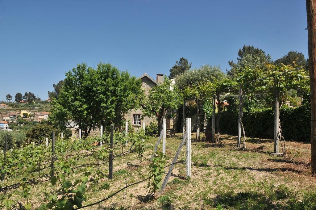 Quinta Do Vale Sanguinho Villa Seia Eksteriør bilde
